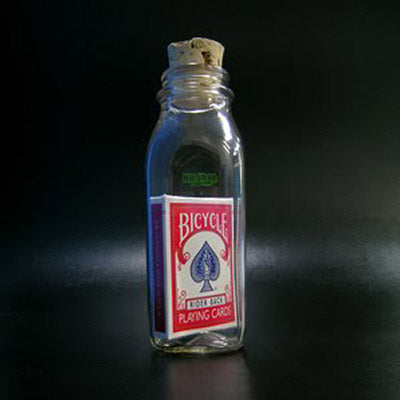 Anything Is Possible Bottle (Red Back Bicycle) by Jamie D. Grant