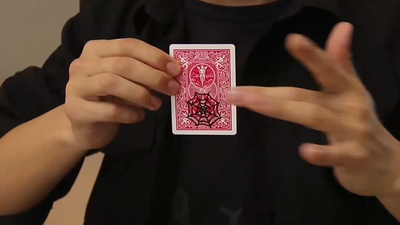 3D World (Spider) by JT Magic