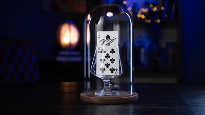 Parlor Rising Card by Murphy's Magic - Mystique Factory