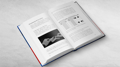 RAINMAN by Vincent Hedan