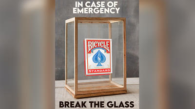 3DT / EMERGENCY (Gimmick and Online Instructions) by JOTA