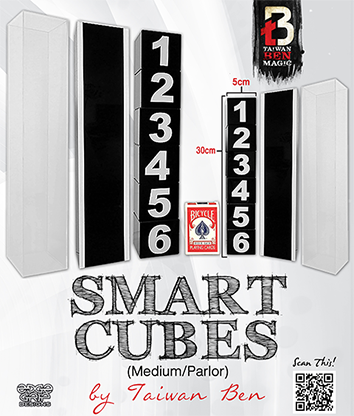 Smart Cubes (Medium / Parlor) by Taiwan Ben - Mystique Factory