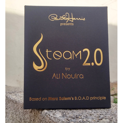 Paul Harris Presents Steam 2.0 by Ali Nouira - Mystique Factory
