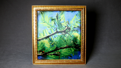 Dove Frame (Photo) by Mr. Magic - Mystique Factory