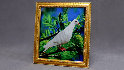 Dove Frame (Photo) by Mr. Magic - Mystique Factory