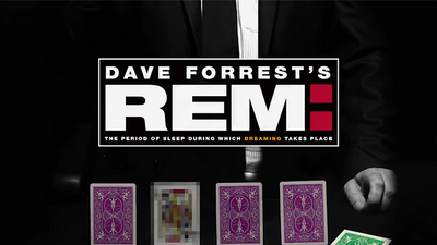 Dave Forrest's REM - Mystique Factory
