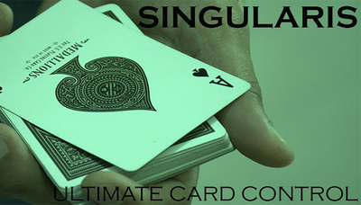 Magic Encarta Presents Singularis by Vivek Singhi - Mystique Factory