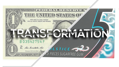 Transformation by Llya Seisov video DOWNLOAD - Mystique Factory