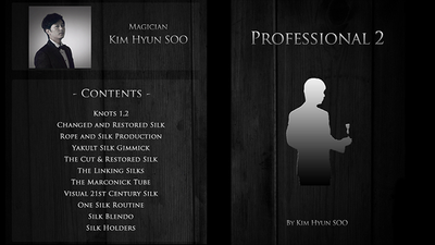 Professional 2 by Kim Hyun Soo - Mystique Factory