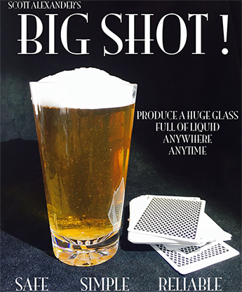 Big Shot by Scott Alexander - Mystique Factory