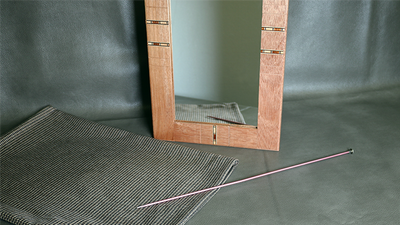 Flexible Mirror/Needle Through Mirror by Tony Karpinski - Mystique Factory
