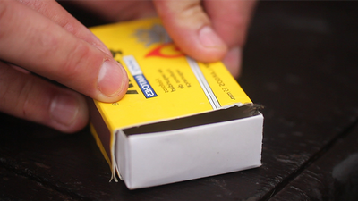 The FLY by Marcos Waldemar - Mystique Factory Magic