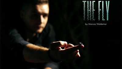 The FLY by Marcos Waldemar - Mystique Factory Magic