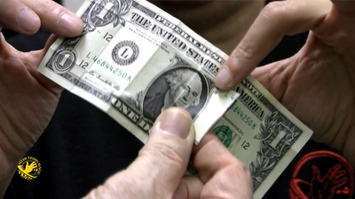 Nick Brown Wonder Bill (DVD and Gimmicks) - Mystique Factory