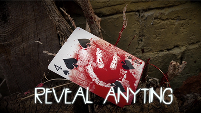 PaperCut by Beau Cremer