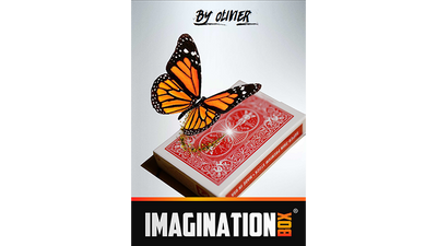 Imagination Box by Olivier Pont 