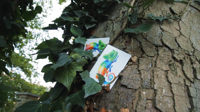 Camouflage (Gimmicks and Online Instructions) by Keith Porter