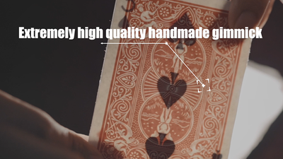 LIGHT AND SHADOW (Gimmicks and Online Instructions) by Secret Factory