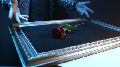 Visual Matrix AKA Rose Act Valorous Silver (Gimmick and Online Instructions) by Will Tsai and SansMinds