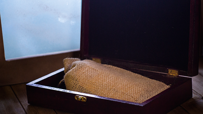 Paul Harris Presents True Astonishments Box Set (Gimmicks and Online Instructions) by Paul Harris