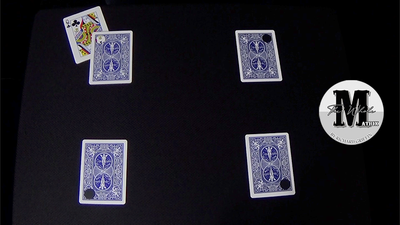 The Whole Matrix by Richard Griffin