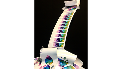 Special Edition Cascading Cards (Memento Mori) by Keith O'Brien