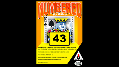 NUMBERED by Astor