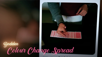 Social Media Magic by Felix Bodden Sansminds