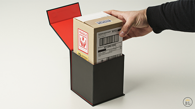 TIMELESS Classic (Gimmicks and Online Instructions) by Joao Miranda